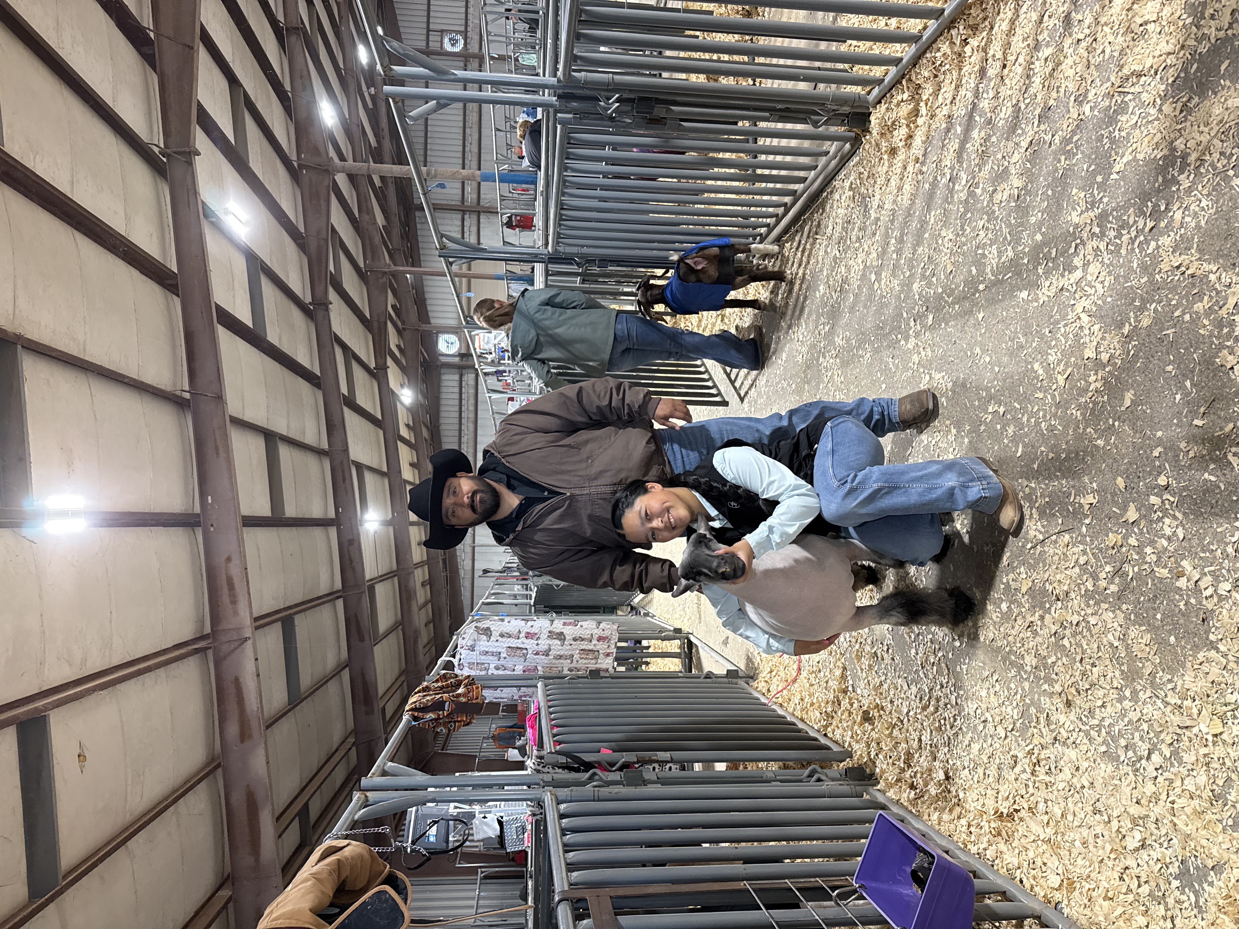 Alaina Torre at a livestock show